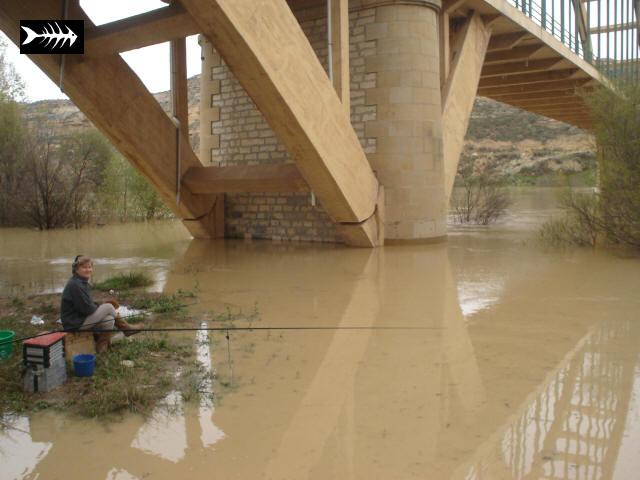 Ebre en crue 017.jpg